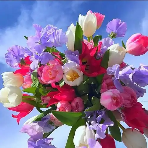 花草树木,唯美风景图