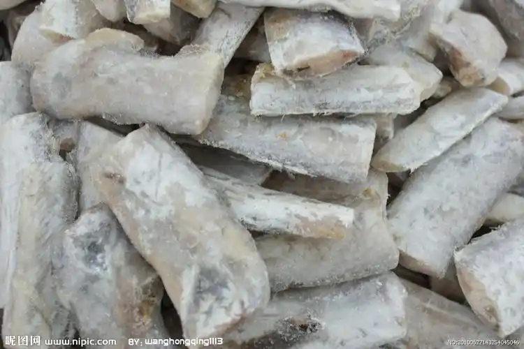 段带鱼照片图片