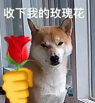 等人回家的忧郁小狗和它的表情包[doge]#柴犬  #我家宠物好可爱