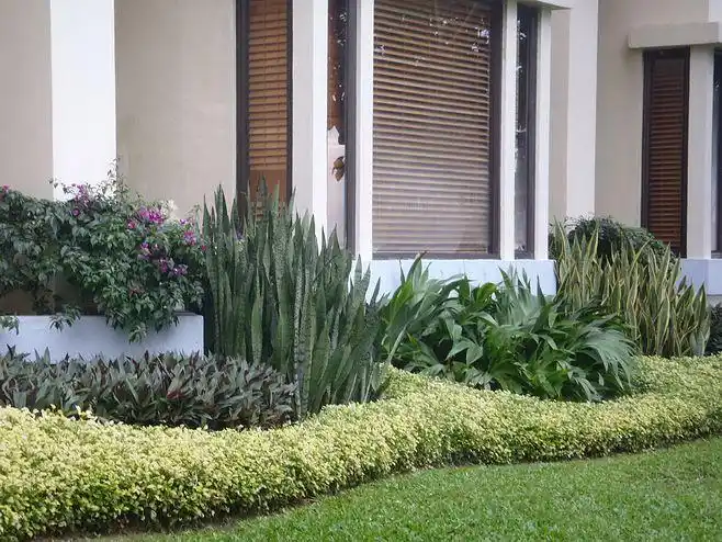 东南亚庭院别墅精致花园