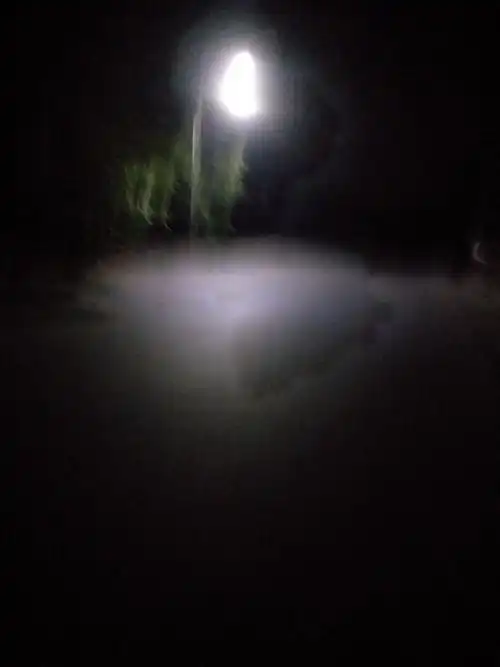 昨晚天黑一个人在大街上流落