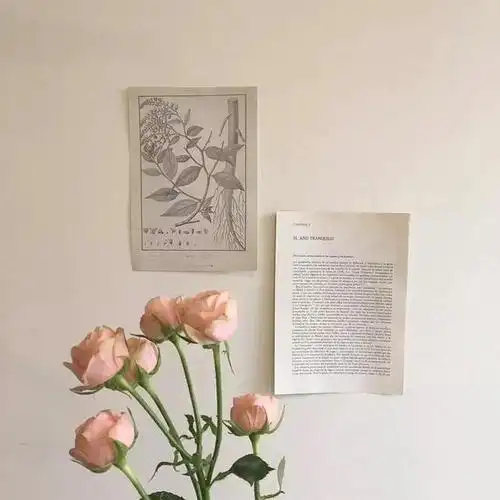 文案干净治愈图片超温柔的文案加配图