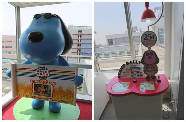 蓝色的狗狗就是富士电视台的吉祥物啦～～有个有趣的点告诉大家,补圹