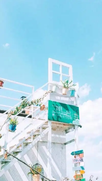 iphone壁纸 文字 简单 小清新 唯美 森系 qq微信聊天背景 插画 森女