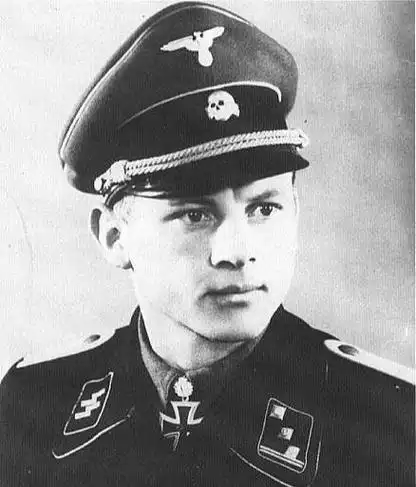 二战中德军为何一定要严格分成国防军,党卫军?都是什么来头?