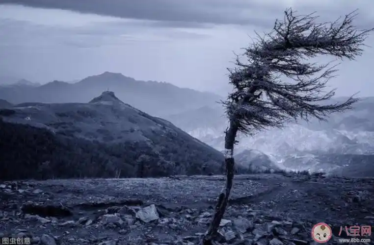 外面刮大风的朋友圈说说 外面刮大风的朋友圈句子