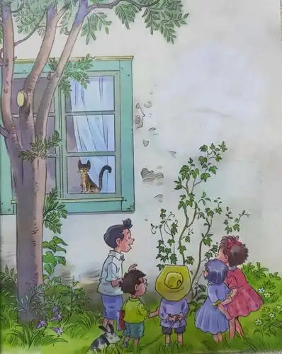 "长"故事的爬山虎