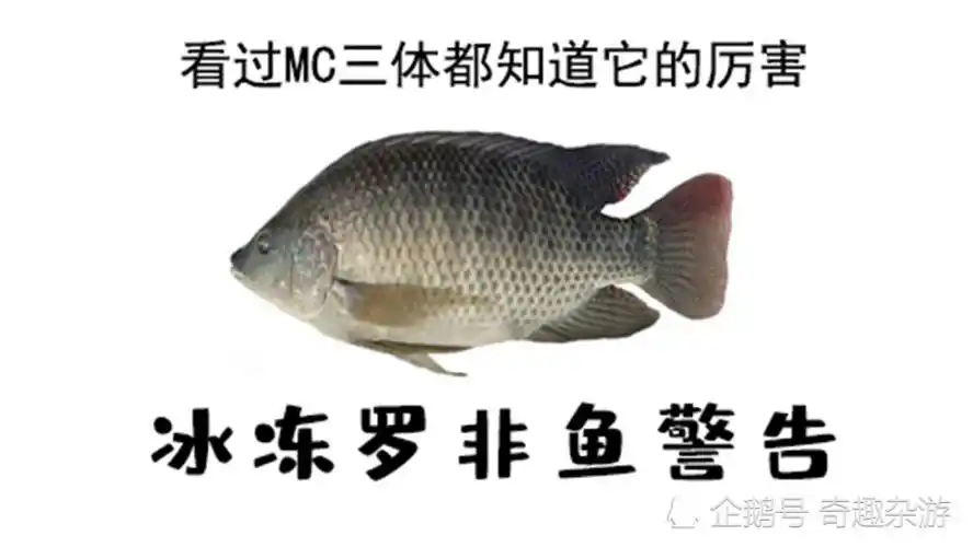 主不在乎三体中有一个组织名为eto,它们是破坏人类唯美的叛徒,它们