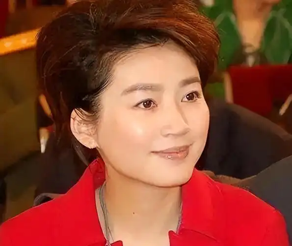 曾红过董卿的金牌主持人王小丫,今55岁无儿无女太凄凉!