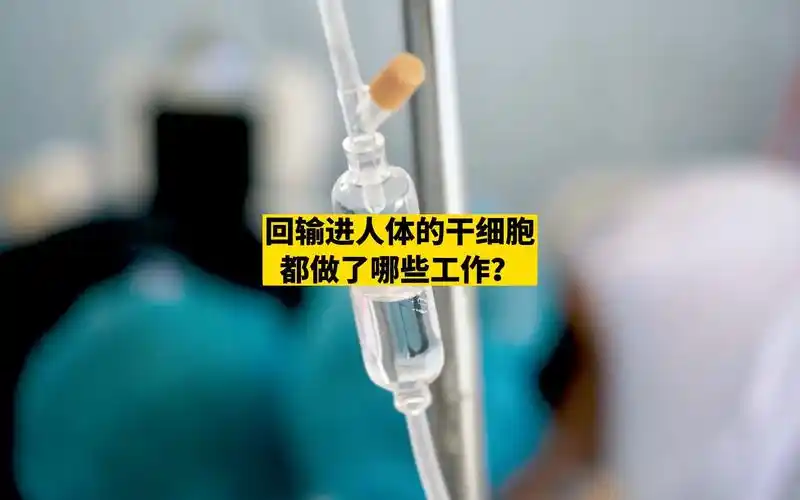 回输进人体的干细胞都做了哪些工作?