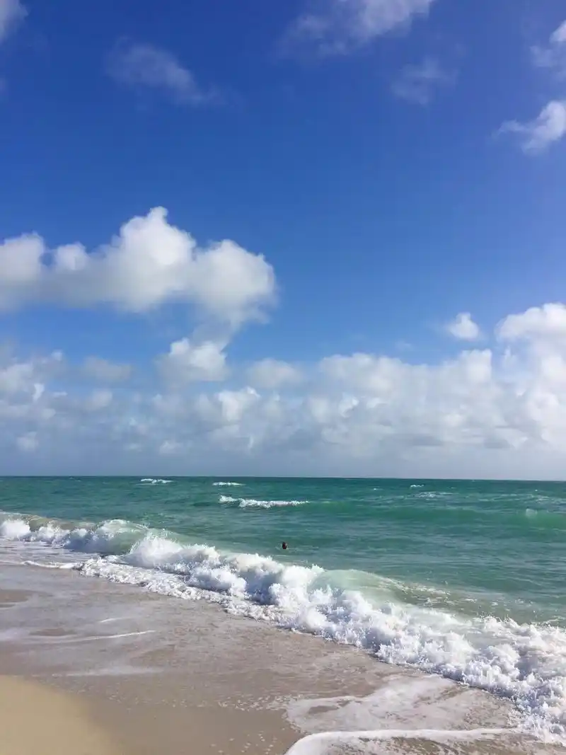 p data-id="gnwrs9gu4f">迈阿密海滩是美国著名的海水浴场,也是全