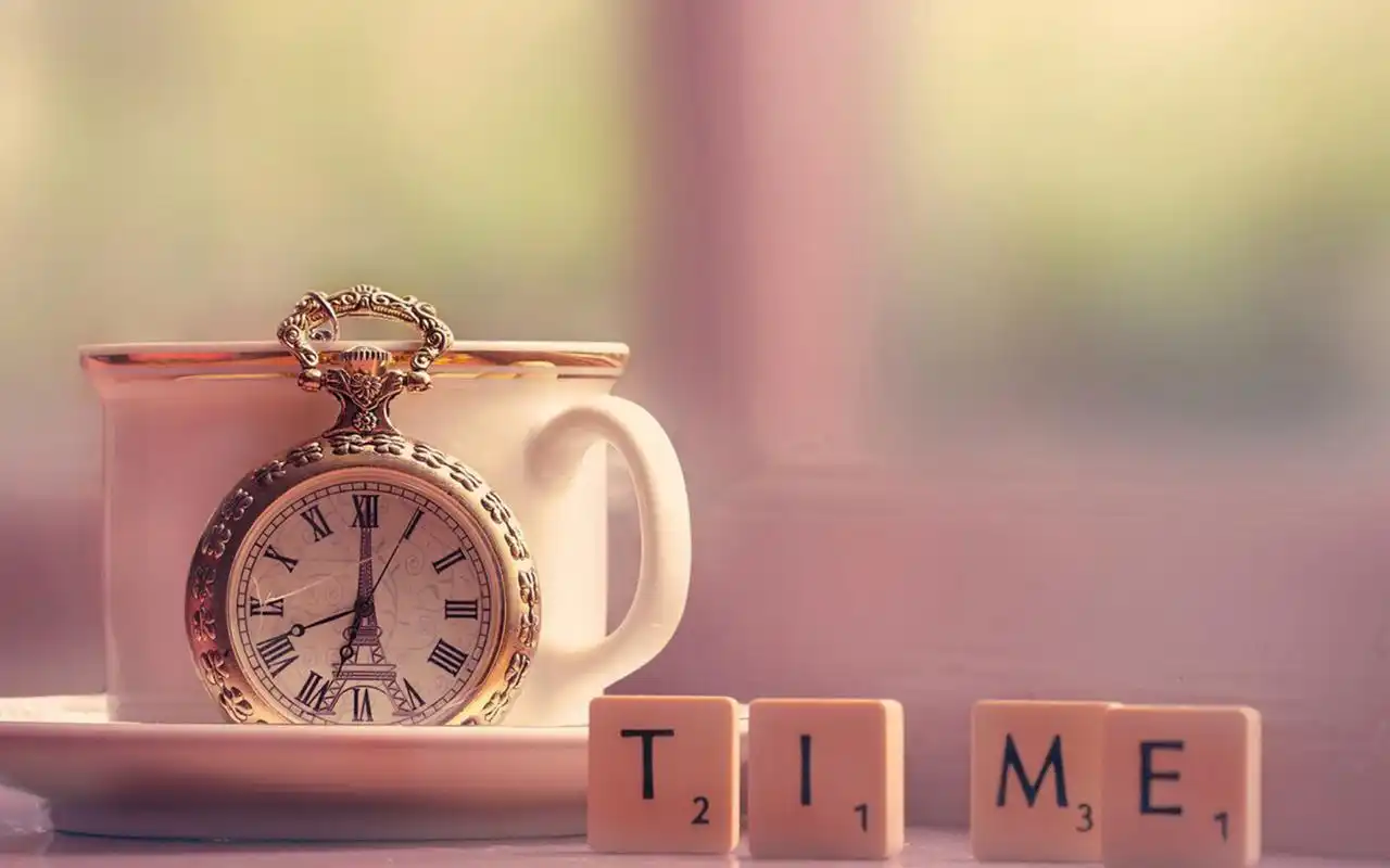 小清新静物创意图片桌面壁纸