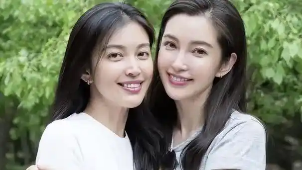 2004年,李冰冰凭借在《天下无贼》中扮演的"漂亮女飞贼"角色,通过