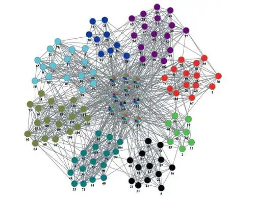 社会网络(英语:social network),是由许多节点构成的一种社会结构