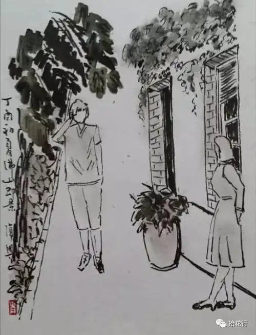 荐读| 那片爬山虎总是那么绿着