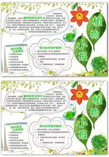 关于植物生长知识的手抄报 安全知识的手抄报