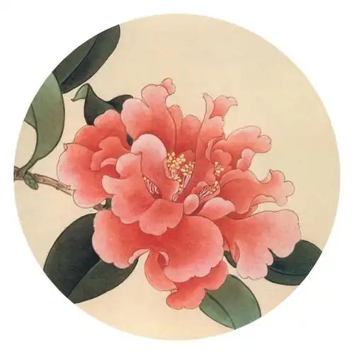 工笔画^书法课程 l 茶花,荷花 ,月季,下午茶