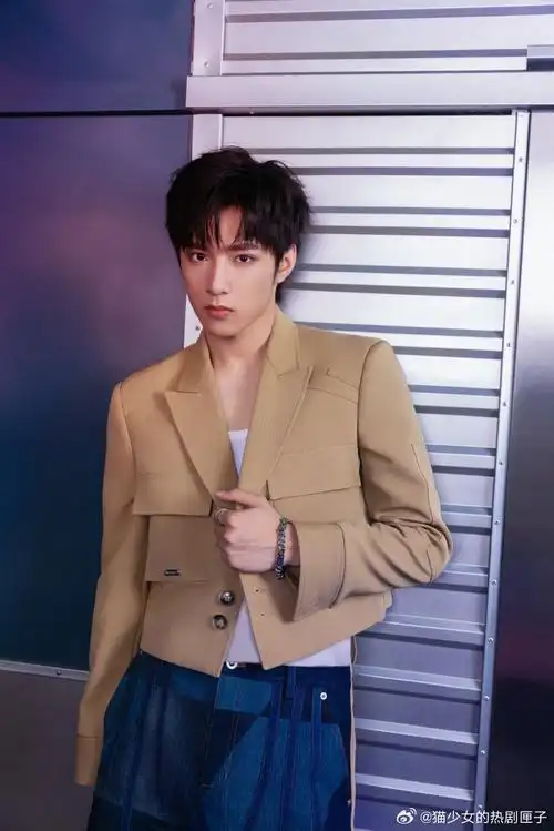 刘耀文美拉德西装