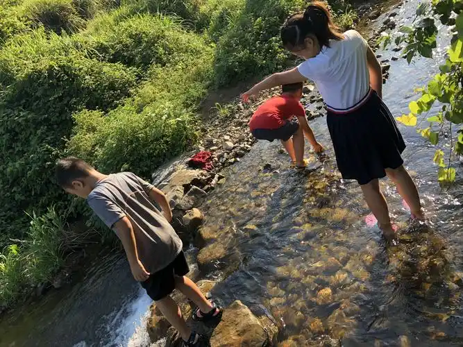 我们在小河边戏水顺便洗桃子