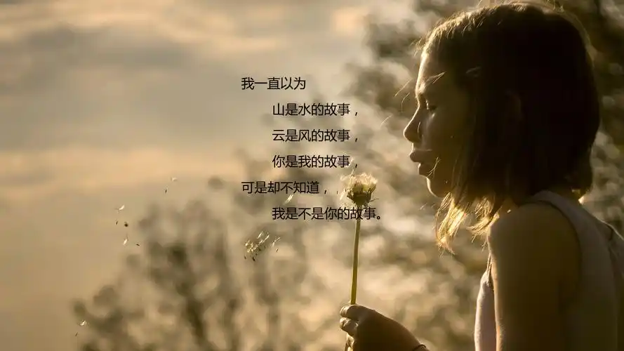 一生只爱一个人一世只怀一种愁