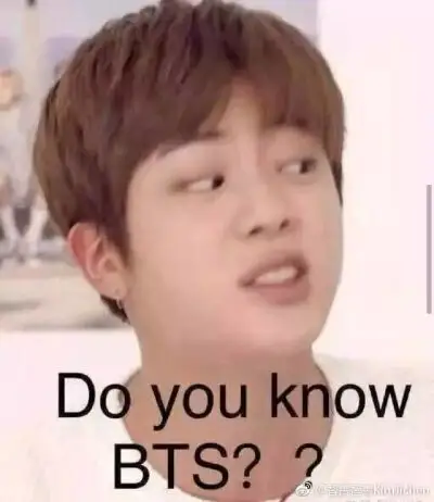 jin 金硕珍 bts 防弹少年团 大哥的表情包