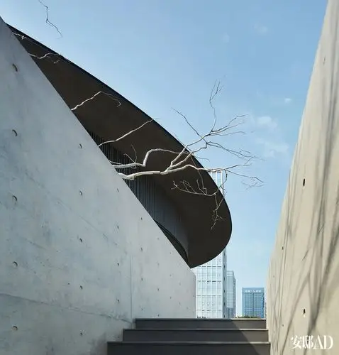 独家揭幕:安藤忠雄2020年新作"和美术馆"