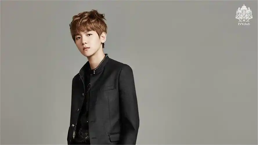 韩国男团exo ivyclub校服代言边伯贤电脑桌面壁纸下载