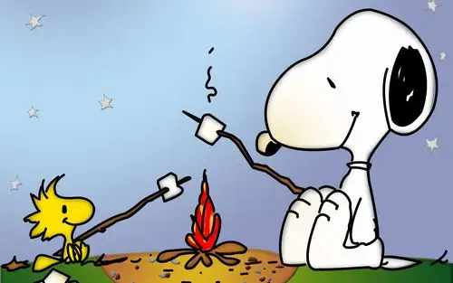 壁纸 史努比和小鸟,篝火