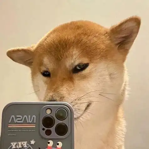 头像超级有趣逗比的沙雕头像愿你每天都开心