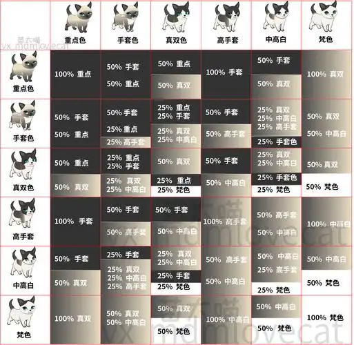 五分钟 布偶猫遗传知识全知道