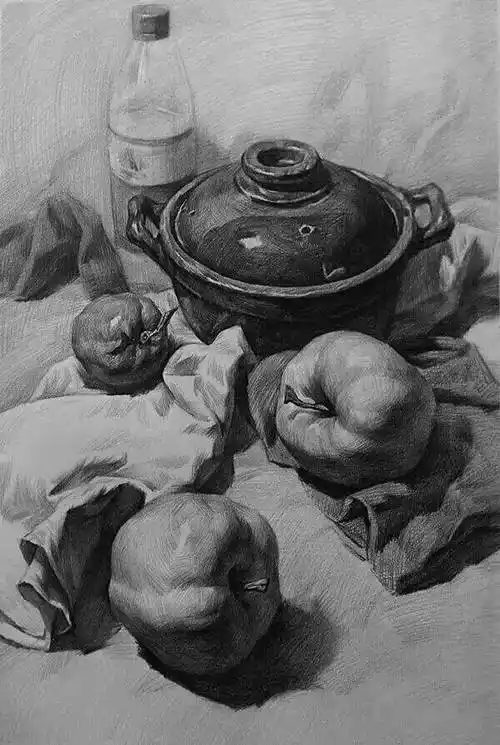 素描静物基础素描静物素材