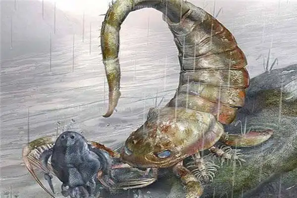 十大灭绝恐怖动物名单所幸都已经成为化石