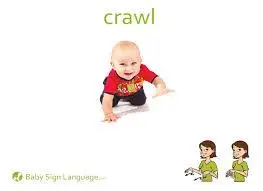 crawlcrawl是什么意思 crawl怎么读 例句