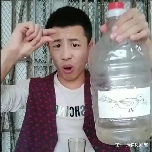 小鸟伏特加什么意思