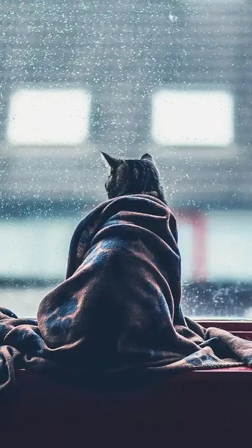 丧丧的壁纸黑暗系的认识一下