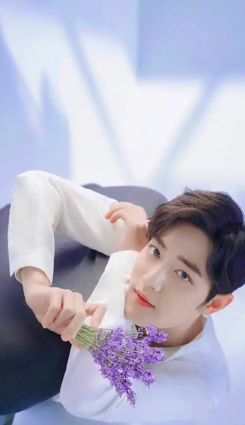 肖战/头像/壁纸/爱豆