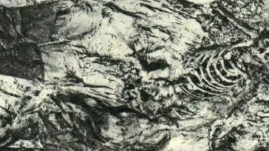 定陵挖掘照片被曝光,其中包含万历皇帝的尸骨照,人们看的牙痒痒