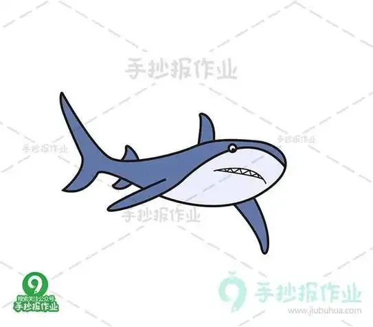 海洋动物虎鲨简笔画