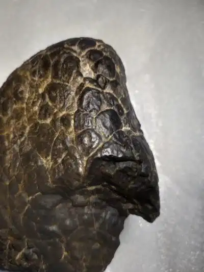 龟裂纹石陨石微磁重721克价格及鉴定真假-私藏天下