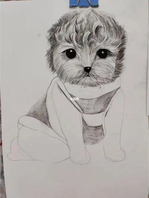 9-10岁构图,线条的综合能力训练#画画  #绘画  #零基础素描  #素描