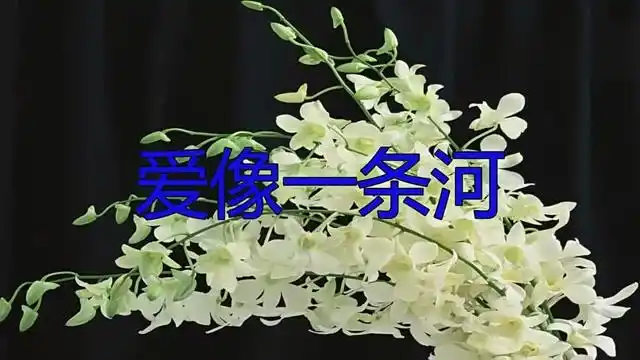 简直不要太好听!王爱华一首《爱像一条河》,好听哭了