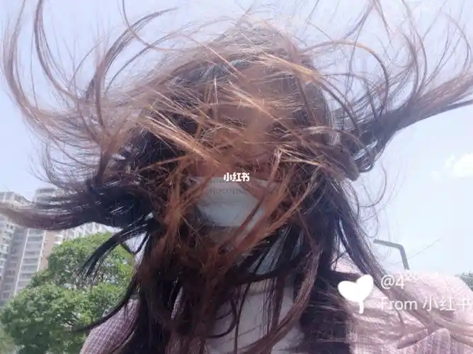 大风之下你的发型是什么样的