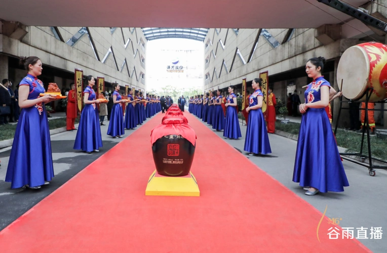 洋河2020云封藏创下新纪录_大典