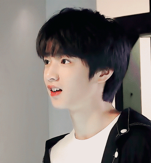 刘耀文好像萨摩耶