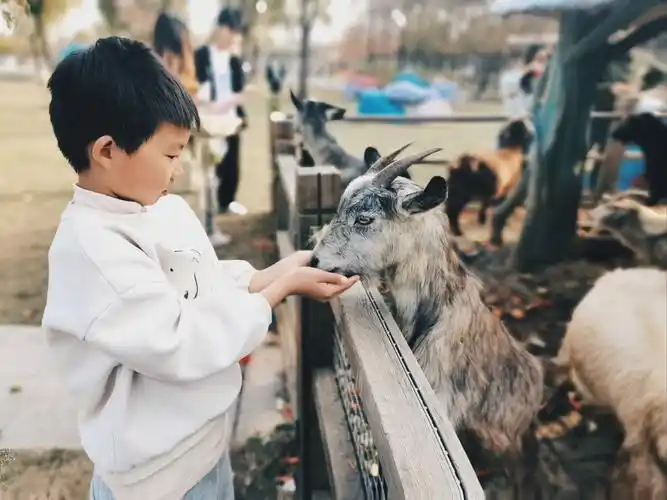 小朋友想当饲养员的第n天92
