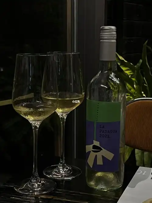 1061酒瓶空了可我还不想回家