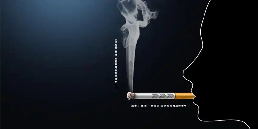 珍爱生命 停止吸烟 - 第四届申通德高杯公益广告创意大赛-平面类