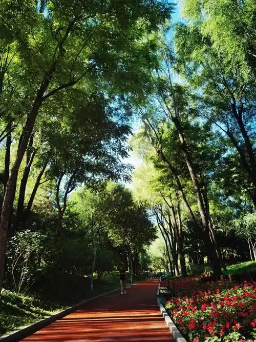 长春健身园/海淀区公园管理中心供图