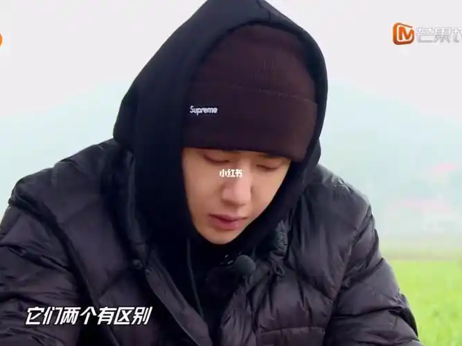 唠嗑王大爷上线_王一博_娱乐_综艺片段