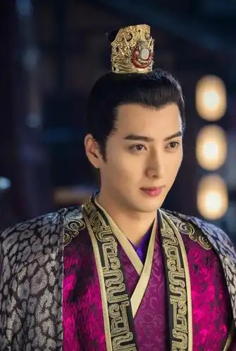 电视剧中宇文邕剧照,太帅了